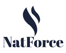 How Permanent Lighting Systems Are Changing Holiday Decorating - Natforce Latest News 2021 & 2022 From Across the Worlds