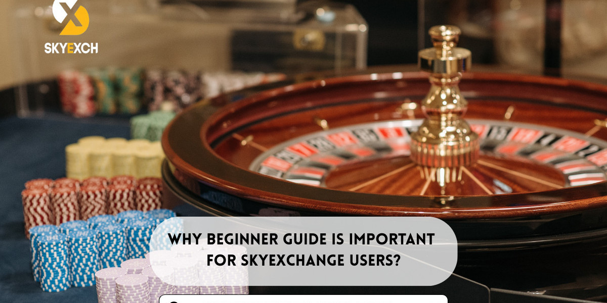 Why Beginner Guide Is Important For SkyExchange Users?