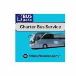 busxoxo service Profile Picture