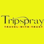 Trip spray Profile Picture