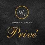 Prive By Whiteflower Profile Picture