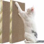 Noor Ch Profile Picture