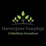 Mathias Svendsen Profile Picture