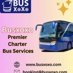 busxoxo rental Profile Picture