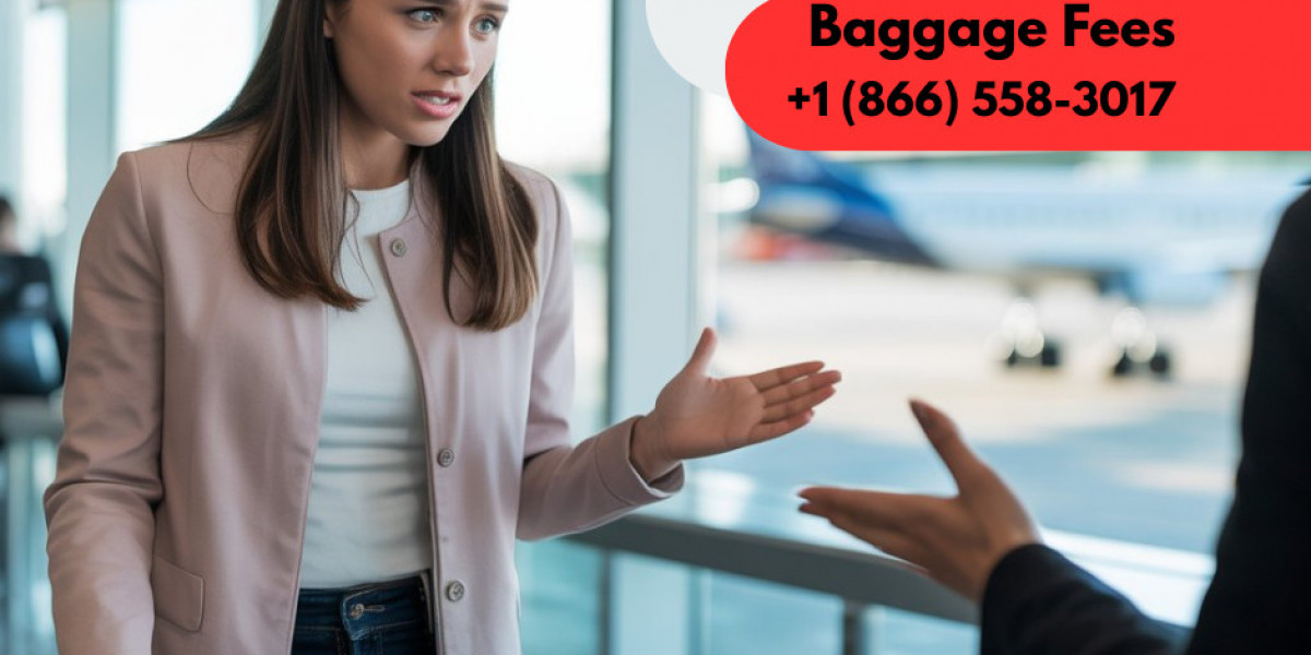American Airlines Baggage Fees: Everything You Need to Know