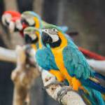 Lily Thompson Profile Picture