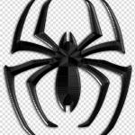 Sp5der Clothing Profile Picture