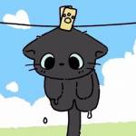 tion puri Profile Picture