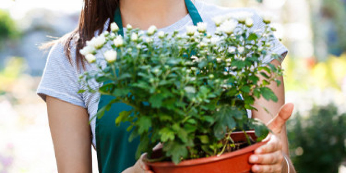 Elevating Outdoor Living with Premium Landscaping in Dubai