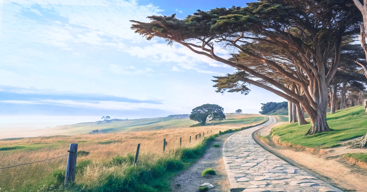 Couples Therapy In Redwood City, CA | Riva Mental Health