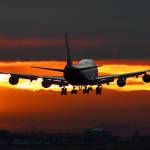 Aria Mark Profile Picture