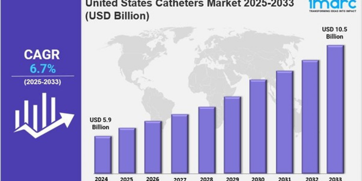 United States Catheters Market Market Share, Size, In-Depth Analysis and Forecast 2025-2033