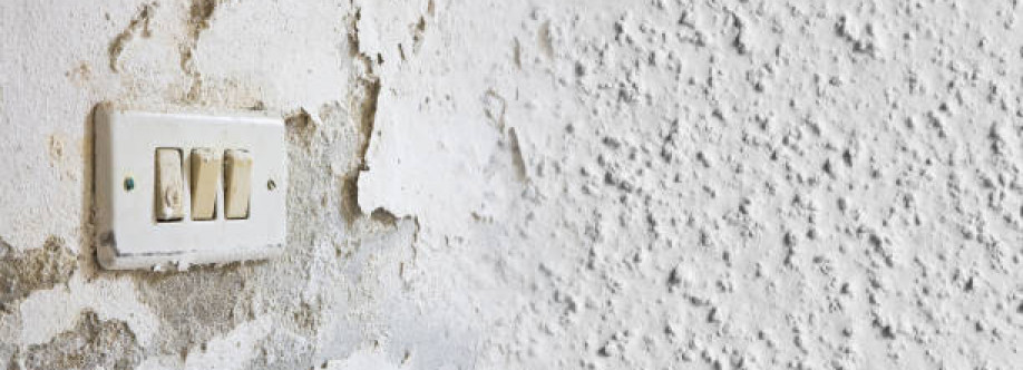 Corlin Ashford Cover Image