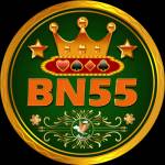 Bn55 games Profile Picture
