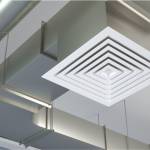 Sara W Profile Picture