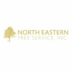 NorthEastern Tree Profile Picture