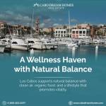 Luxury Real Estate Cabo Dream Homes Profile Picture