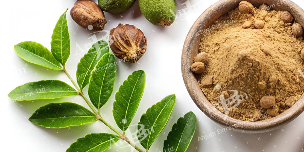 Health Benefits of Terminalia Bellirica Extract You Should Know