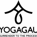 Yoga Gau Profile Picture