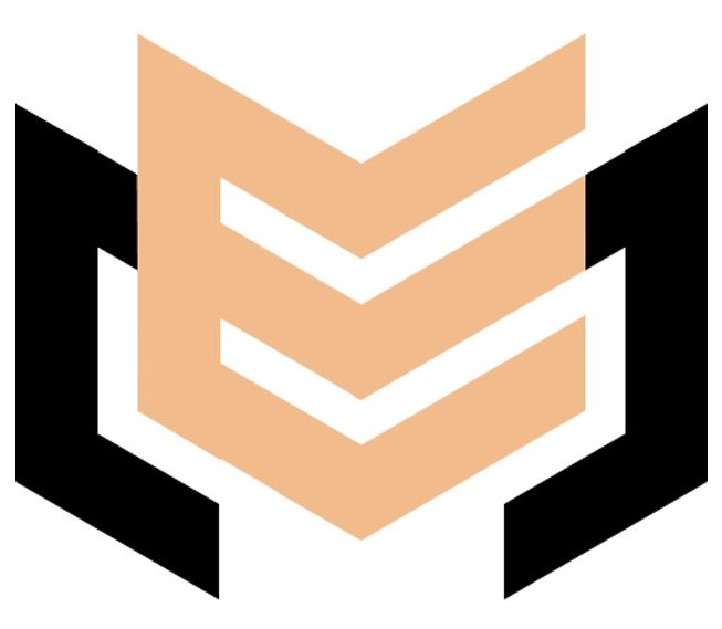 Ecstatic Minds - Best #1 Digital marketing agency in Nepal