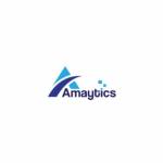 Amaytics Digital Marketing Agency in Gurg Profile Picture