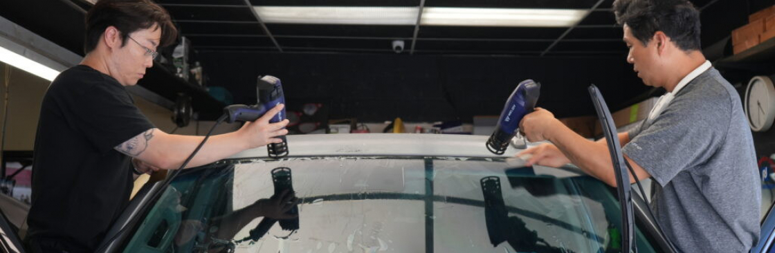 DOWNEY TINTING Cover Image