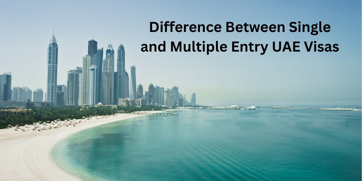 Difference Between Single and Multiple Entry UAE Visas