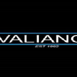 Valiance Automotive Profile Picture