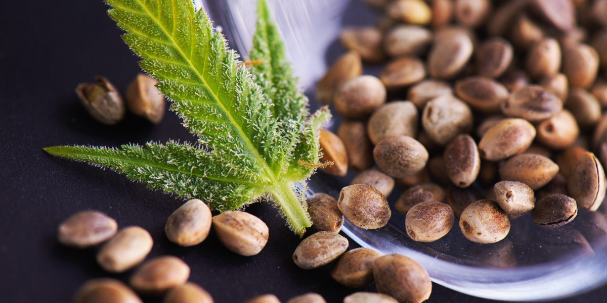 Comprehensive cannabis seeds market analysis reveals growth trends and competitive landscape