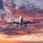 Lily Rose Profile Picture