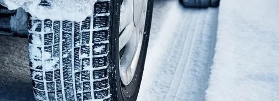 Loyal Auto Limited Cover Image