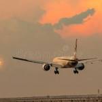 Flighta Profile Picture