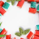 Vidhi Tomer Profile Picture