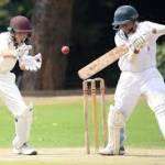 Cricket news Profile Picture