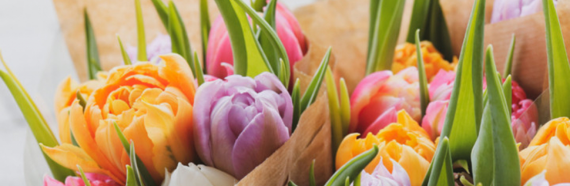 The Flower Land land Cover Image