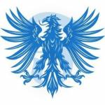 Falcon tour Travel Travel Profile Picture