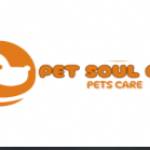 Petsoulcare Profile Picture