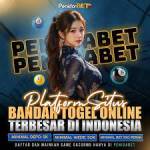 lexingokla Profile Picture