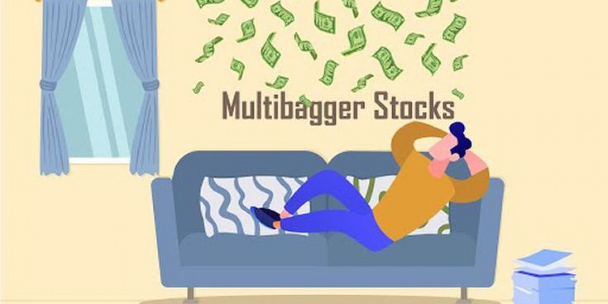 Top Multibagger Stocks in India to Buy for High Future Returns