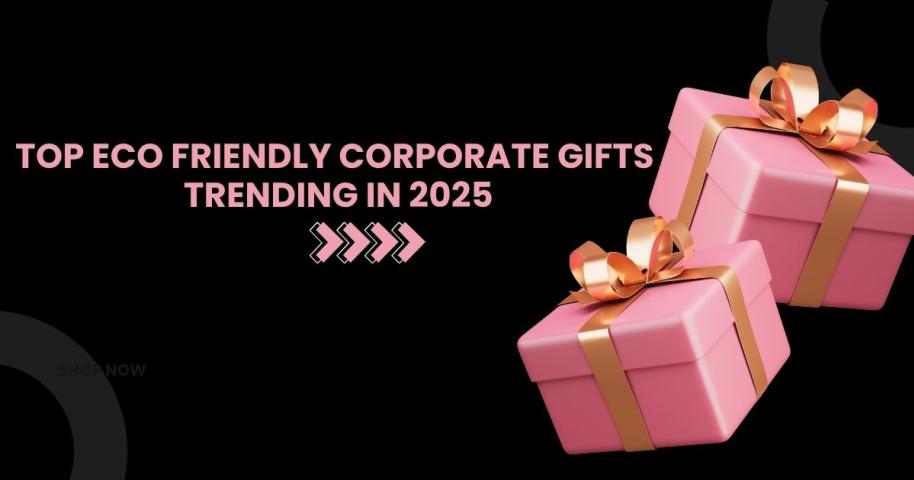 Top Eco-Friendly Corporate Gifts Making Waves in 2025 - PromoteProject | Startup Growth Platform