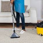 peter rota Profile Picture