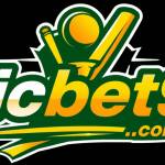 cricket 99 bet Profile Picture