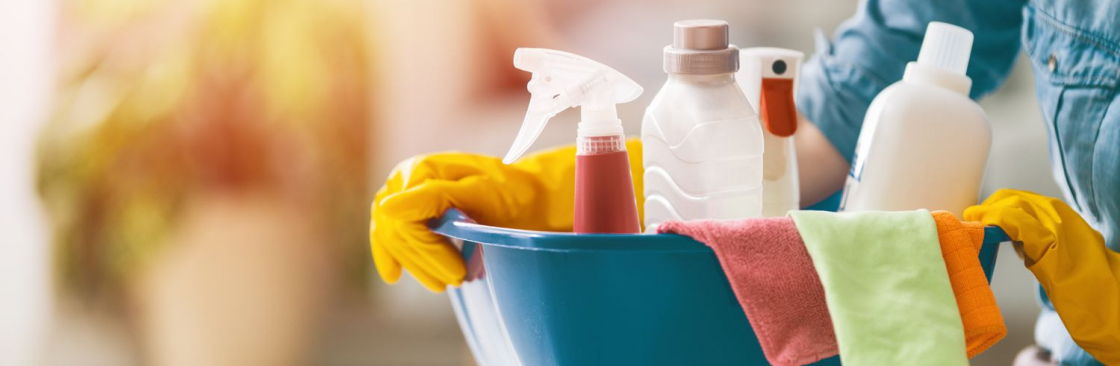 Aloha Maids Cover Image