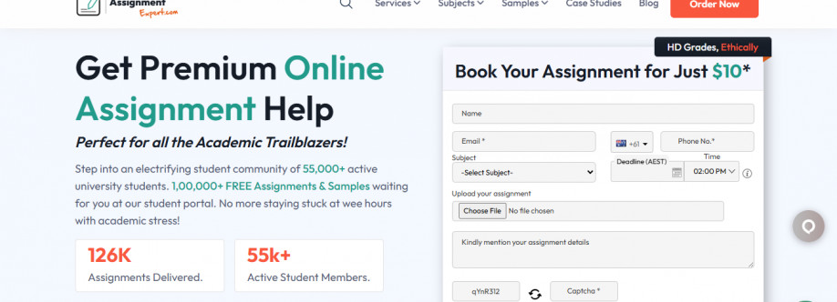 Online Assignment Expert Cover Image