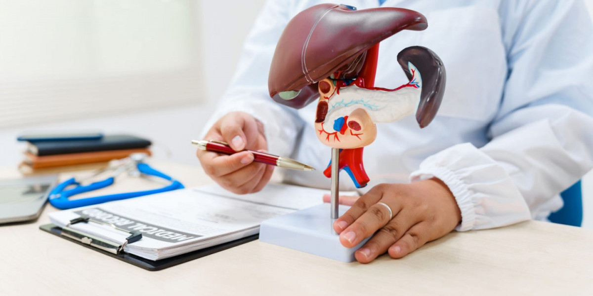 Liver Doctor Singapore: Expert Screening and Treatment for Liver Diseases
