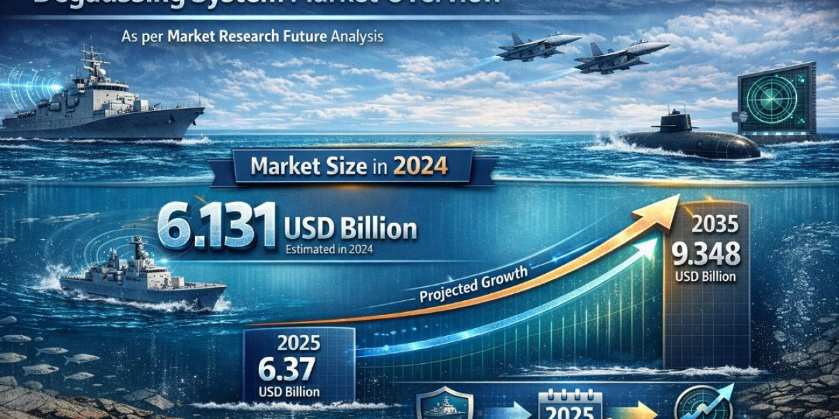 Global Degaussing System Market Analysis and Growth Forecast 2025-2035