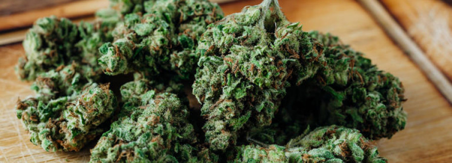 Hemp Shop247 Cover Image