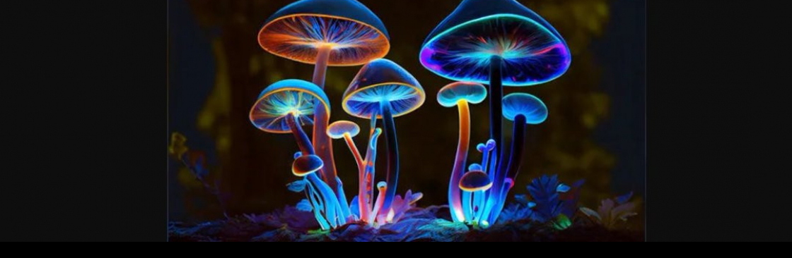 Psychedelia Dream Cover Image