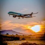 Flighta Official Profile Picture