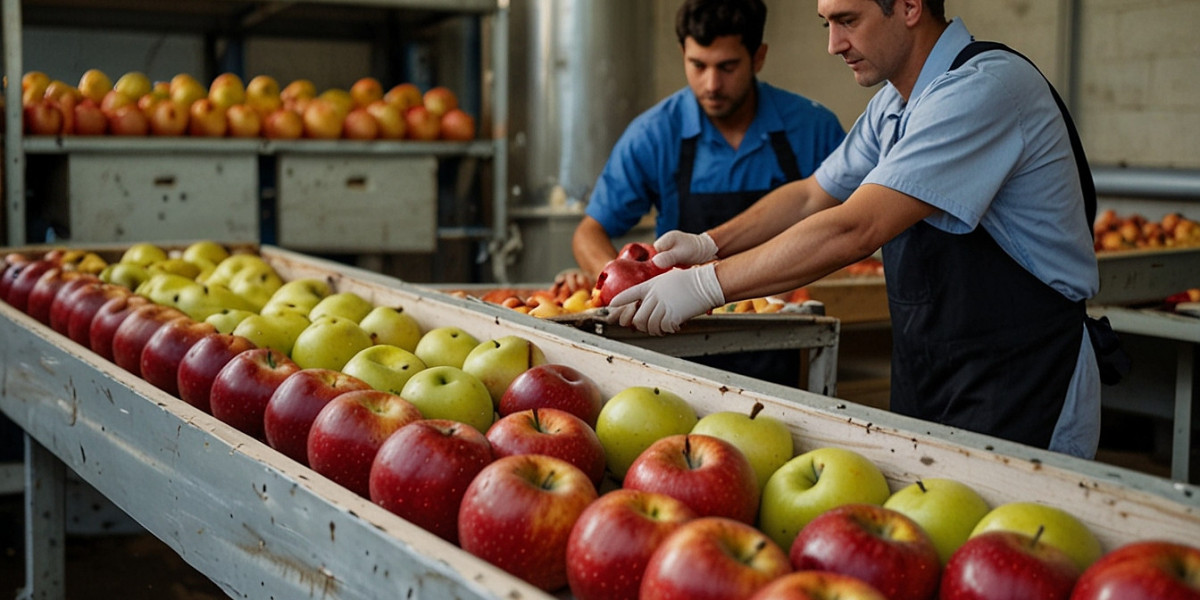 Apple Processing Plant 2026: Complete Project Report, CapEx, OpEx & ROI Insights